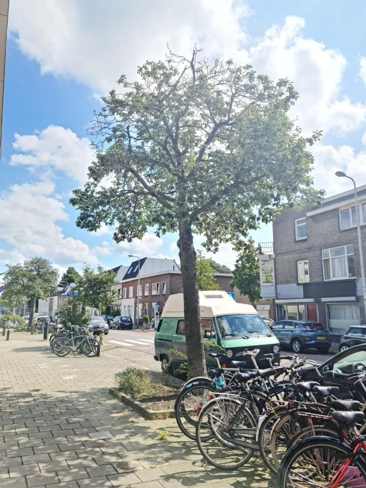 Foto van de Appartement gelegen aan de Laan van Nieuw-Guinea in Utrecht