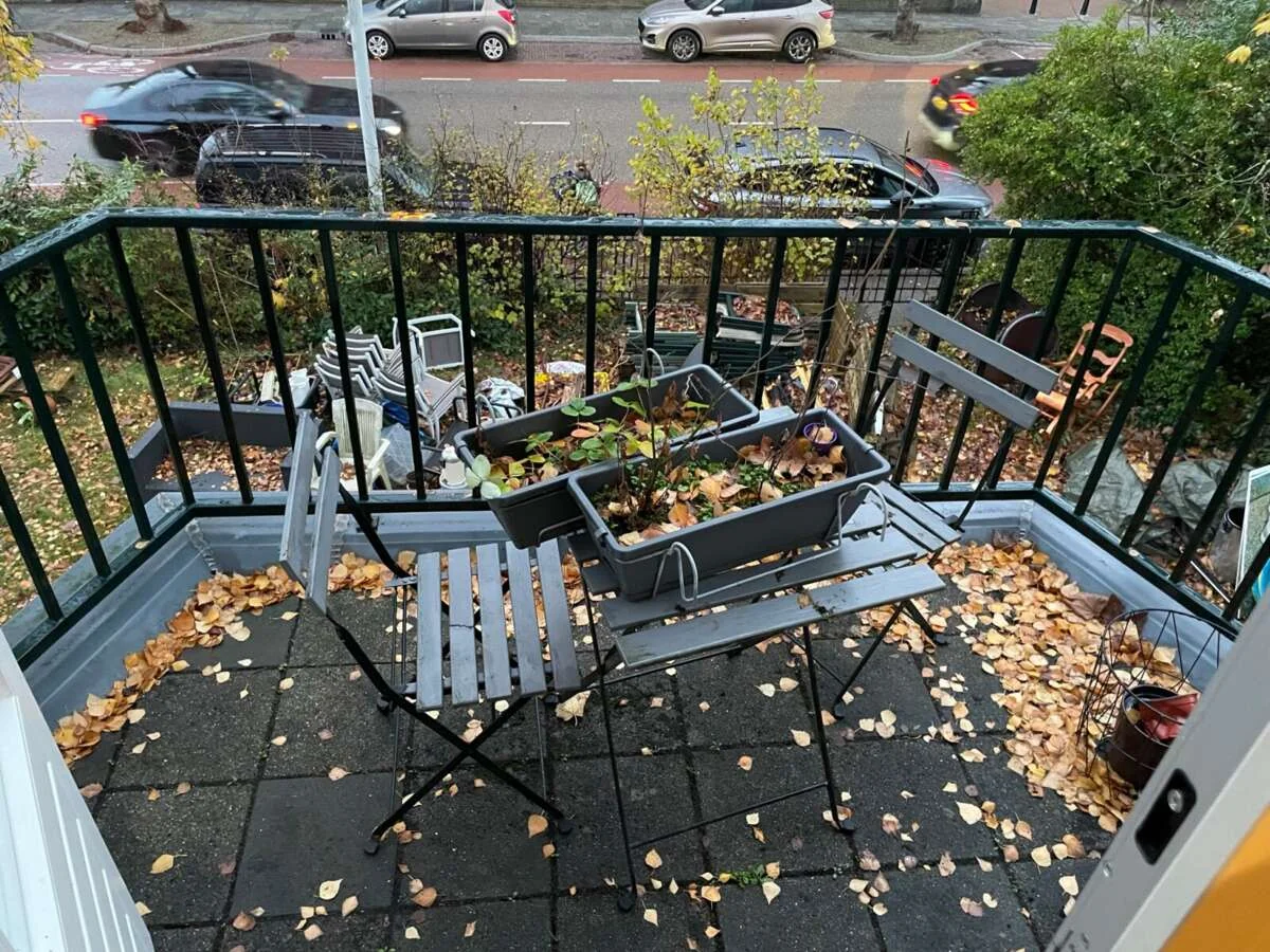 geblurde versie van de foto als achtergrond