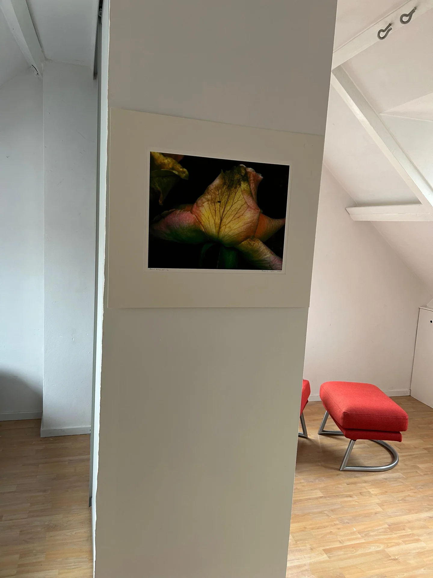 Foto van de Kamer gelegen aan de Rapelenburglaan in Eindhoven