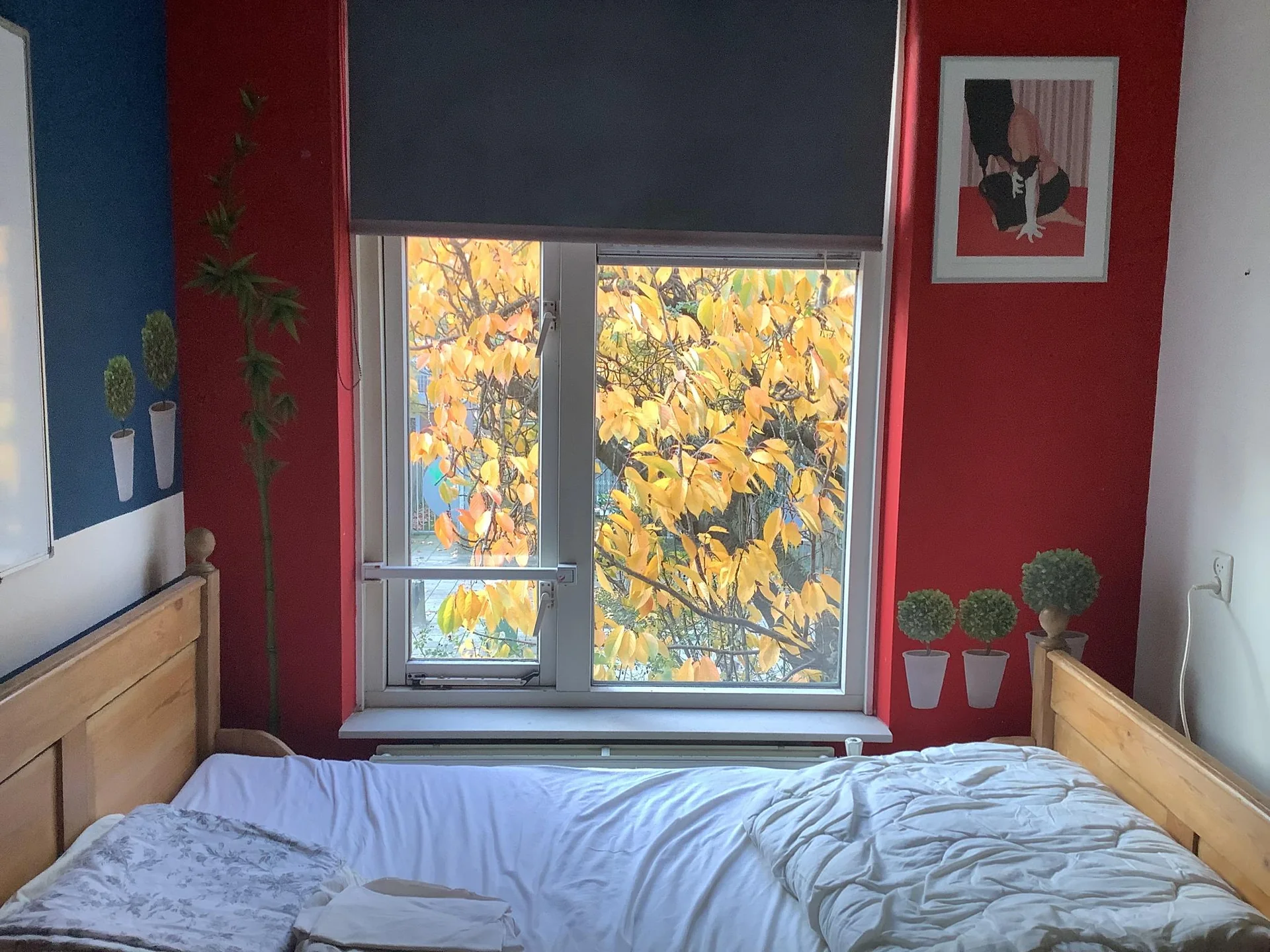 Foto van de Kamer gelegen aan de Bilderdijkstraat in Nijmegen