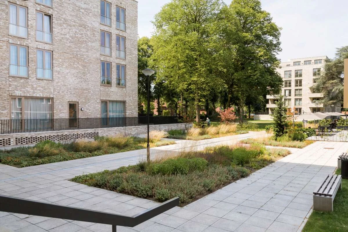 geblurde versie van de foto als achtergrond