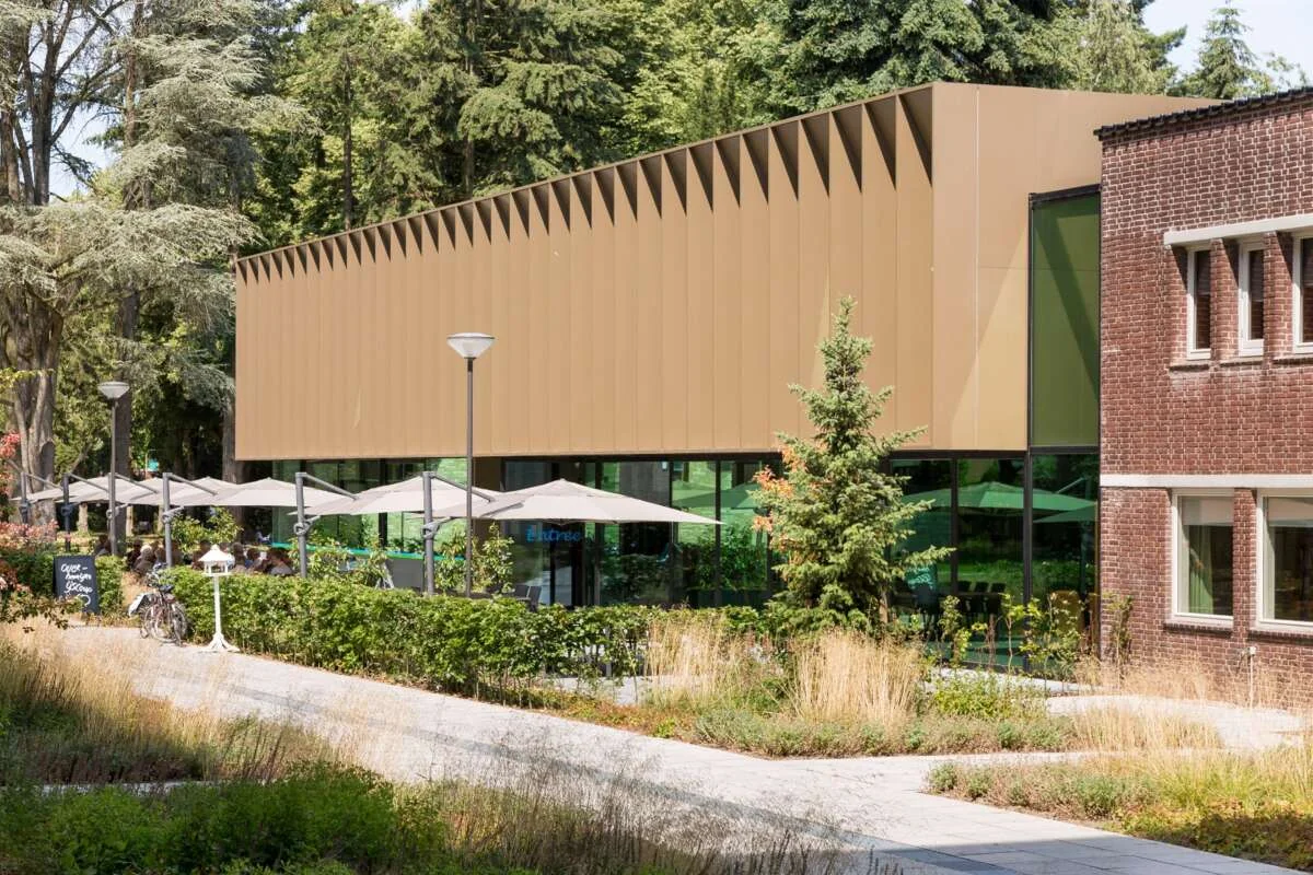 geblurde versie van de foto als achtergrond