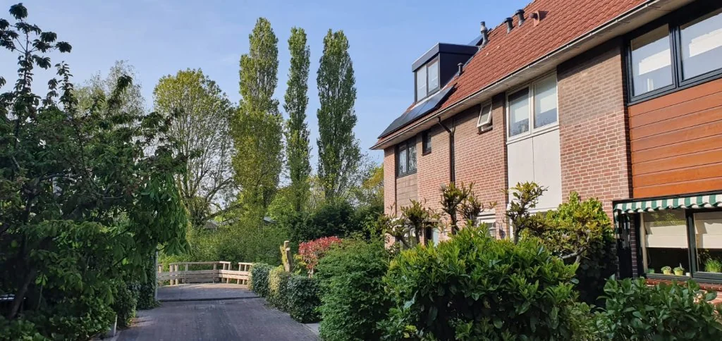 geblurde versie van de foto als achtergrond