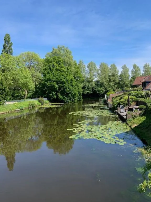 geblurde versie van de foto als achtergrond