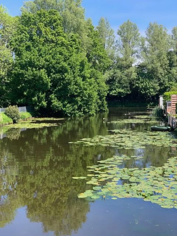 geblurde versie van de foto als achtergrond