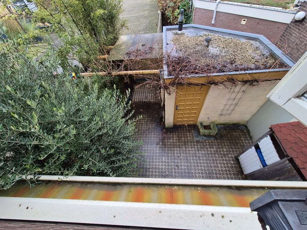 geblurde versie van de foto als achtergrond