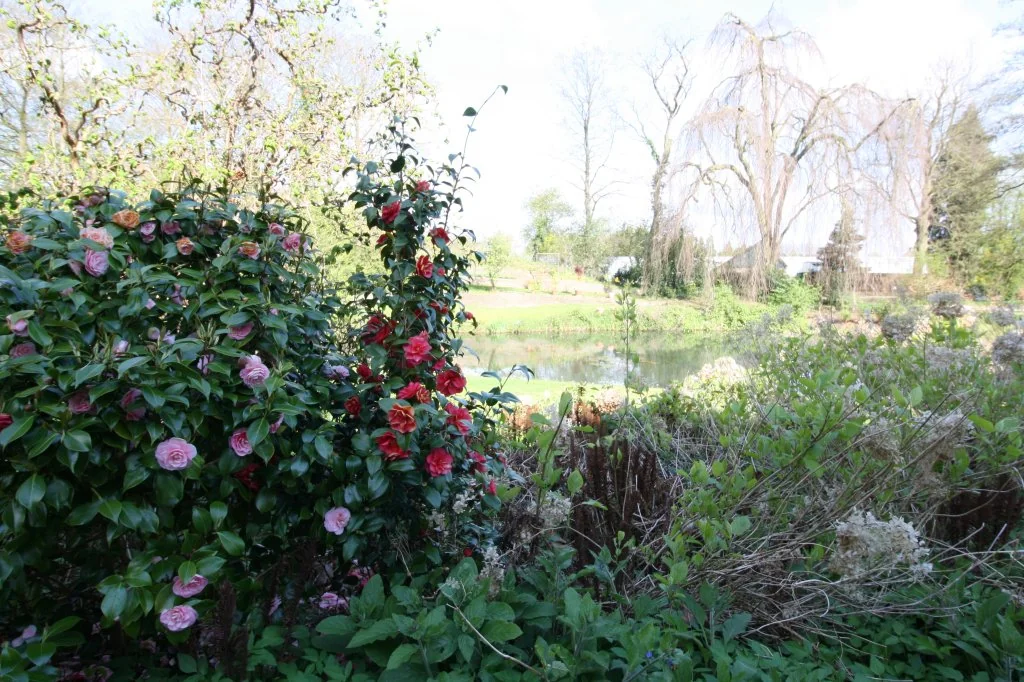 Foto van de Appartement gelegen aan de Terwoldseweg in Twello