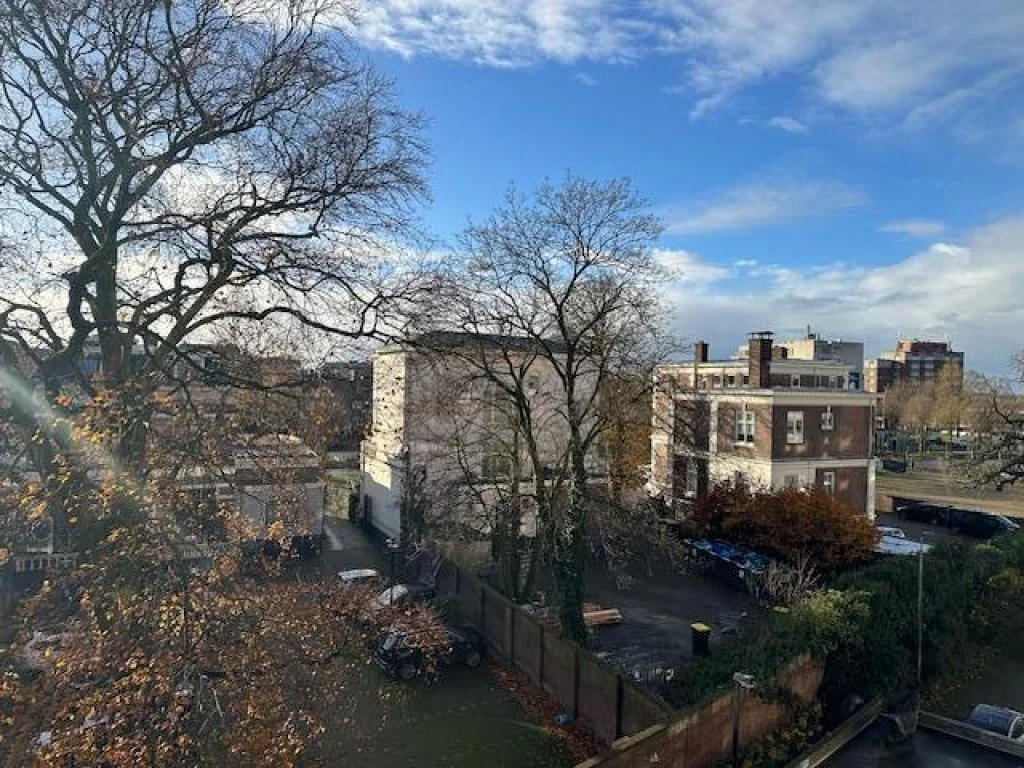 geblurde versie van de foto als achtergrond