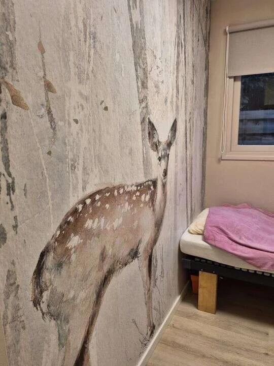 Foto van de Appartement gelegen aan de Westelbeersedijk in Diessen