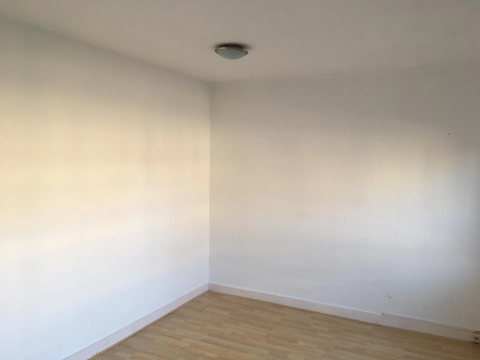 Foto van de Kamer gelegen aan de Wenckenbachstraat in Eindhoven