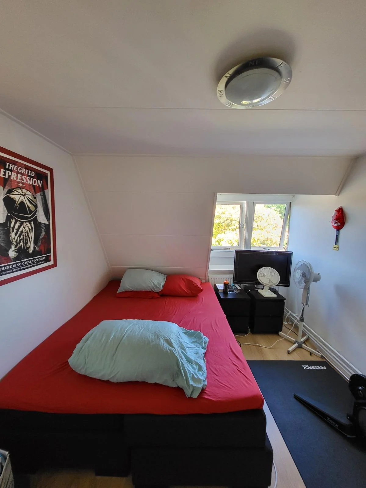 geblurde versie van de foto als achtergrond