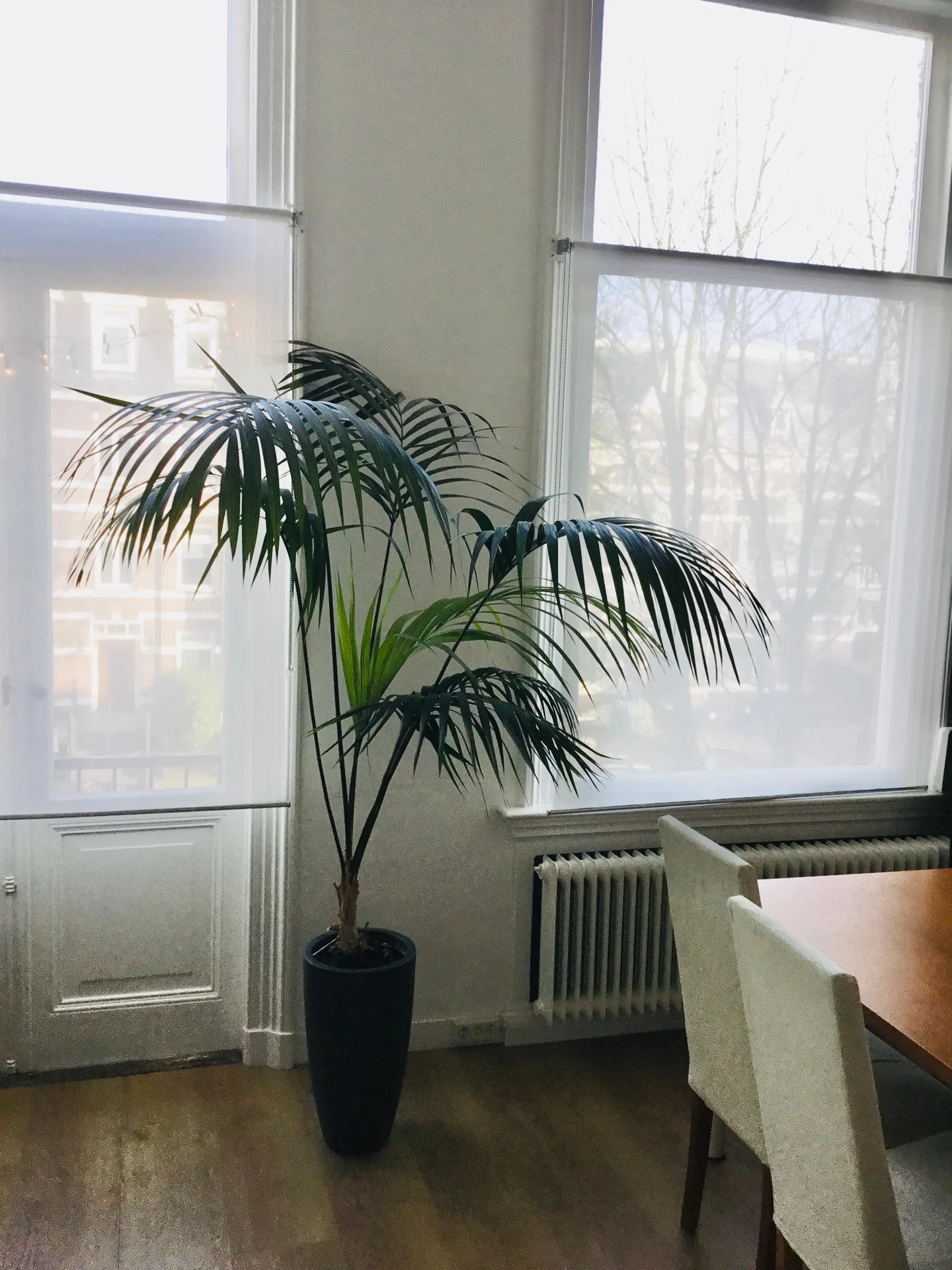 geblurde versie van de foto als achtergrond