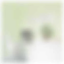 Foto van de Appartement gelegen aan de Anton Philipslaan in Eindhoven