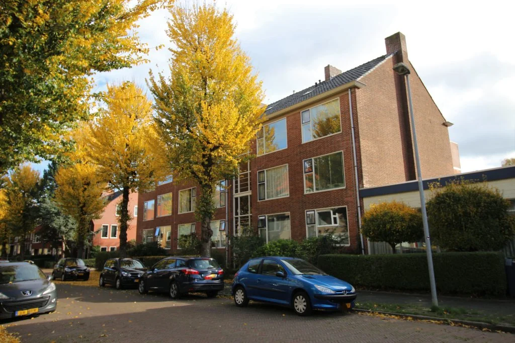 Foto van de Appartement gelegen aan de Wagnersingel in Groningen