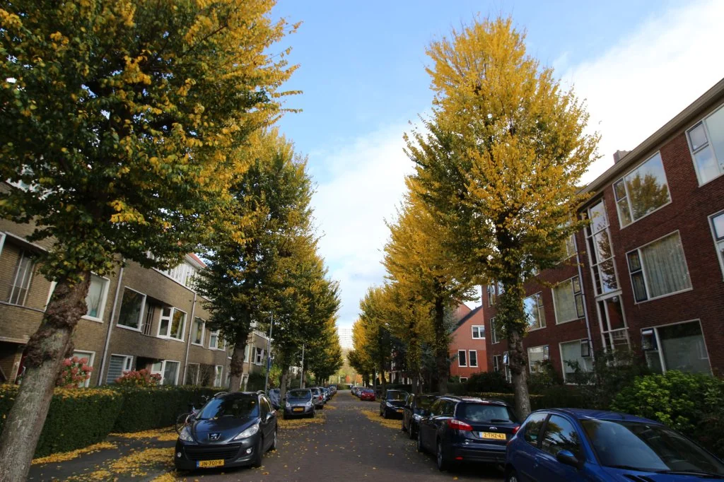 Foto van de Appartement gelegen aan de Wagnersingel in Groningen