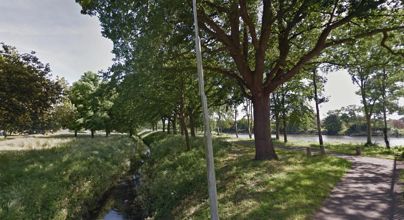 geblurde versie van de foto als achtergrond