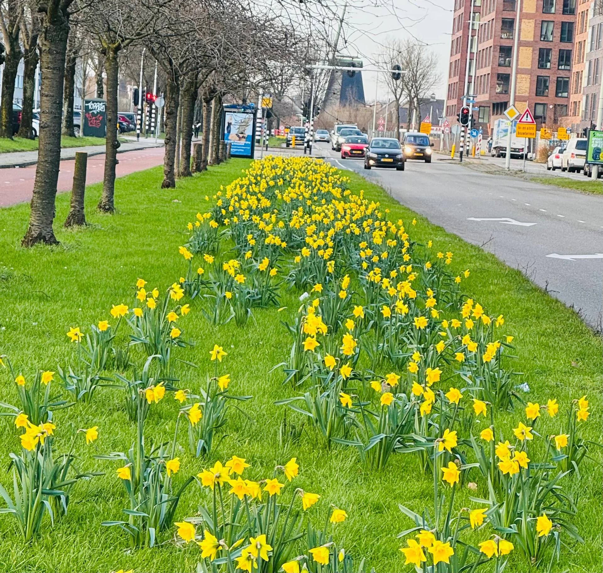 Foto van de Kamer gelegen aan de Opera in Zaandam