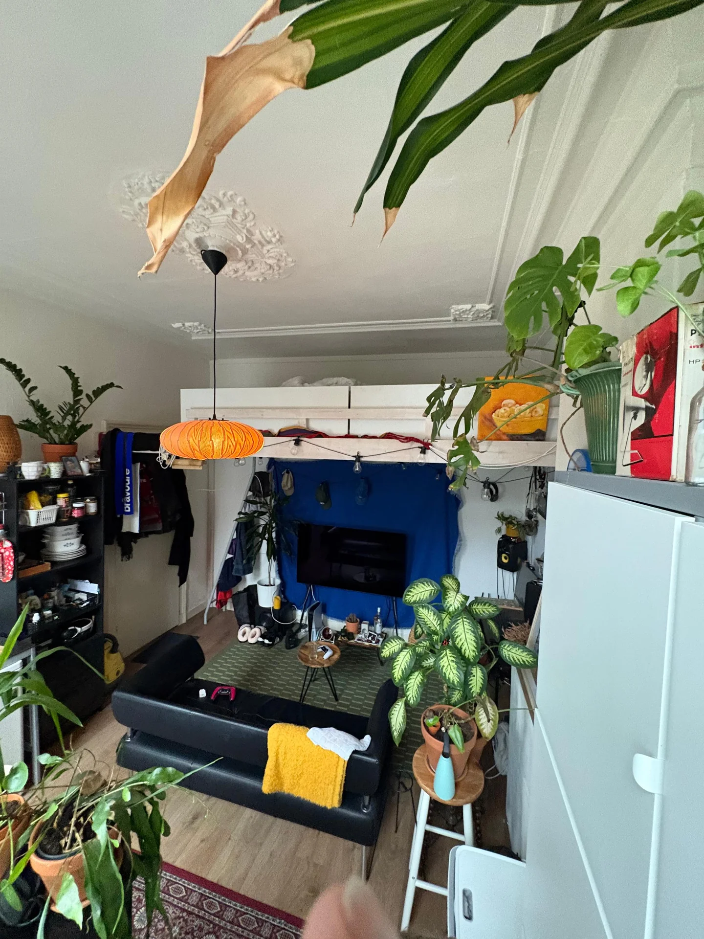 Foto van de Kamer gelegen aan de Schimmelpenninckstraat in Amersfoort