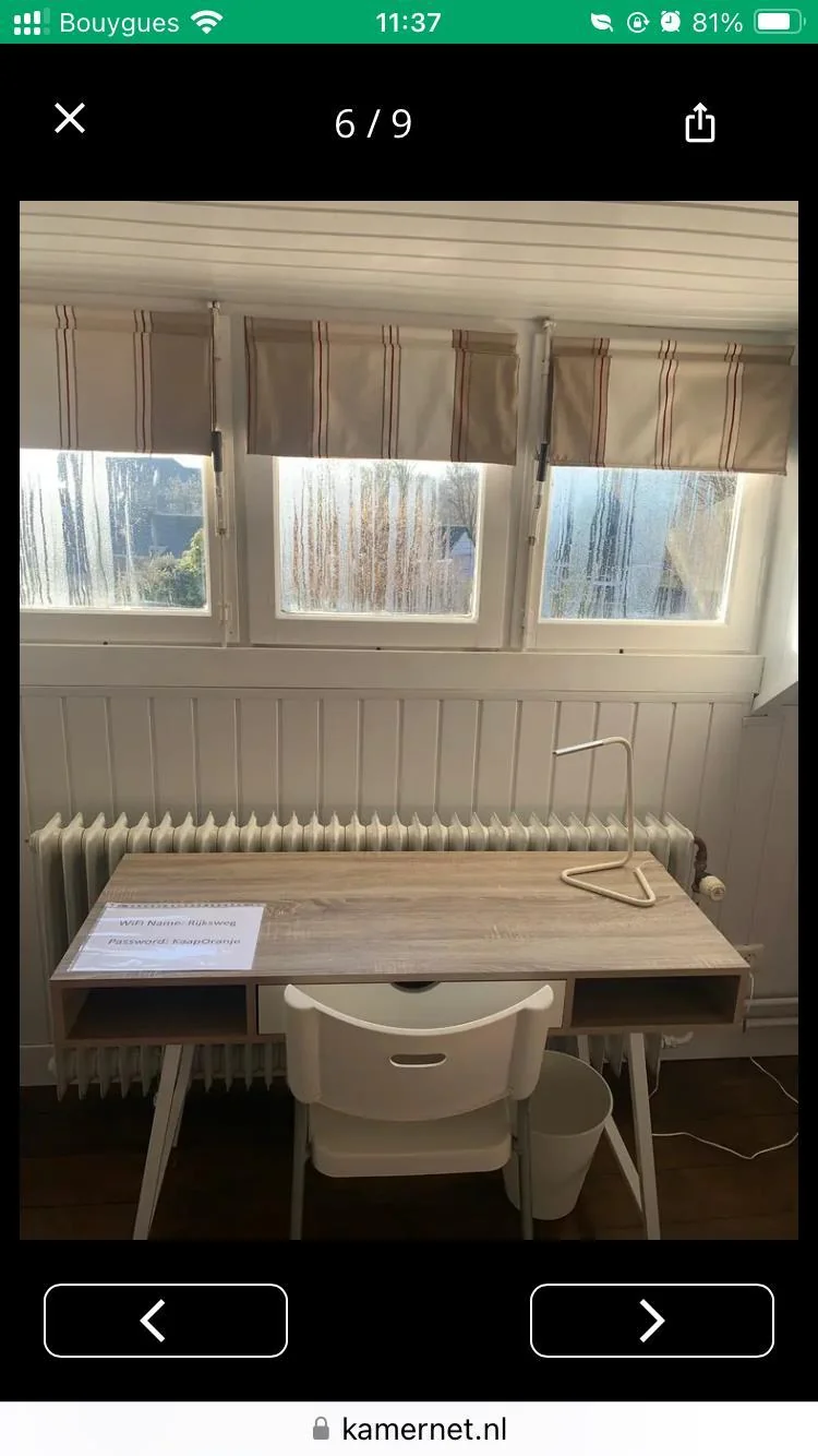 geblurde versie van de foto als achtergrond