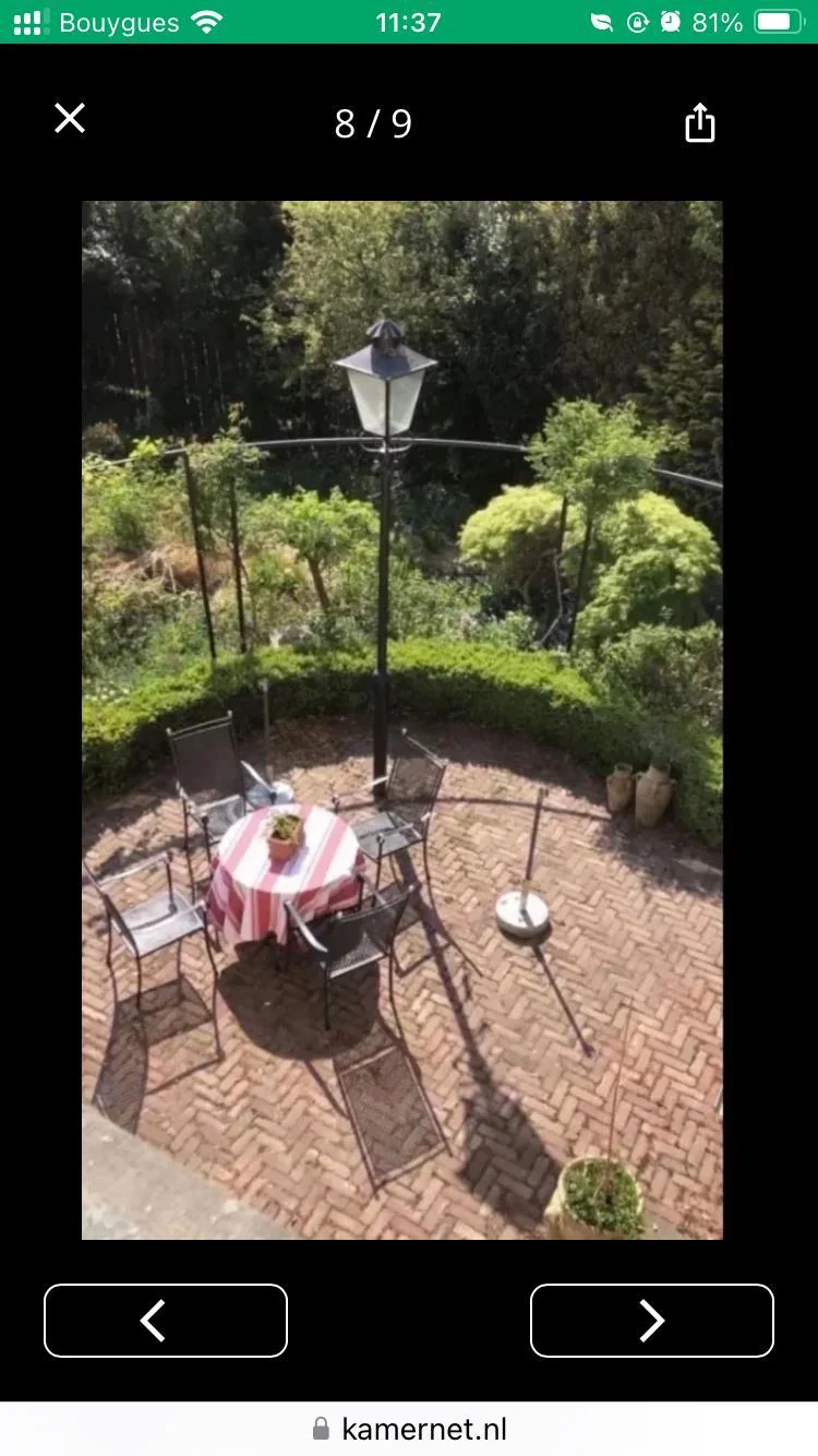 geblurde versie van de foto als achtergrond