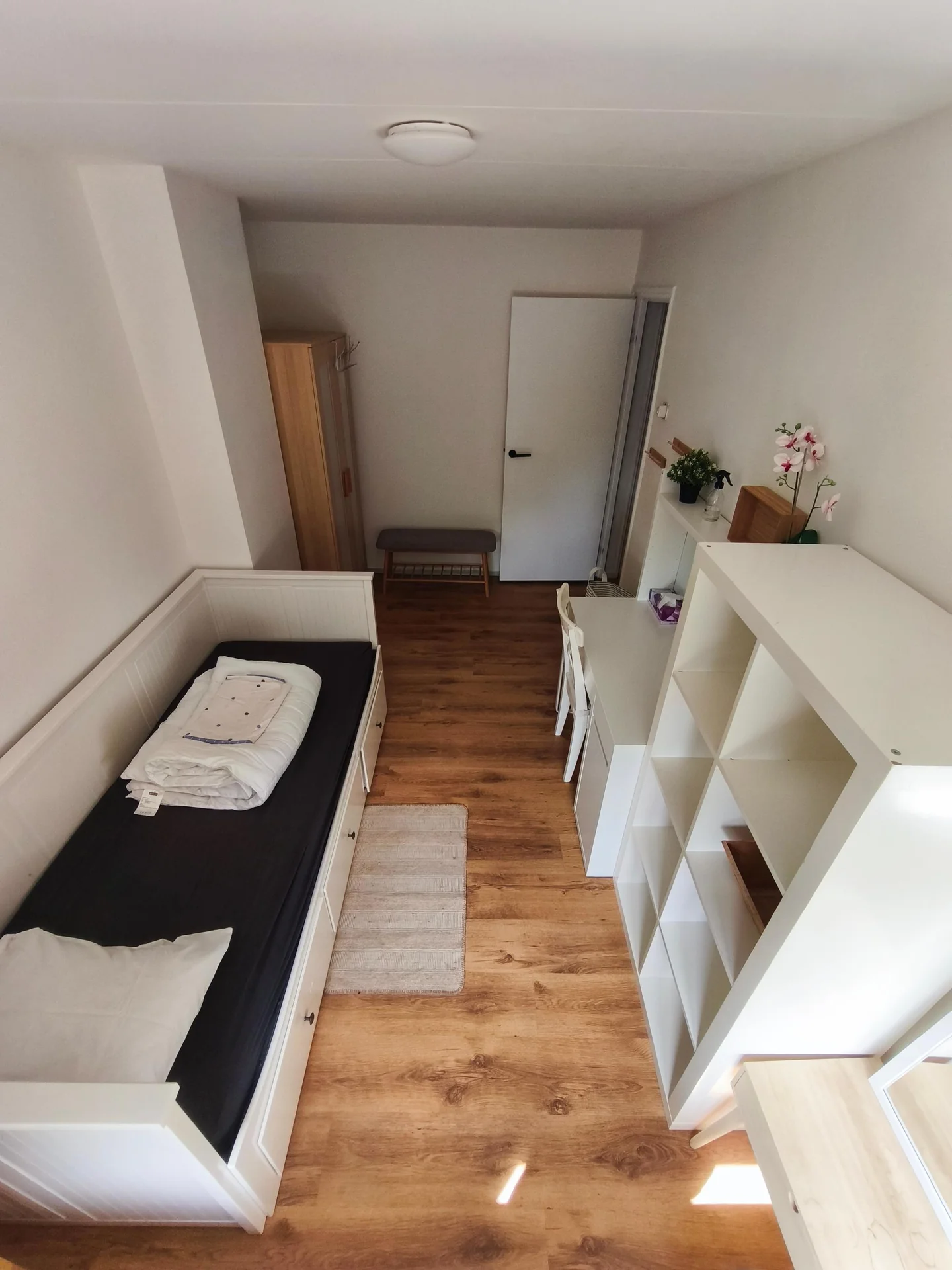 geblurde versie van de foto als achtergrond