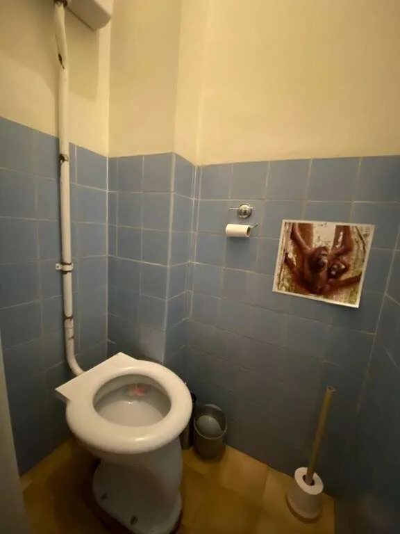 Foto van de Kamer gelegen aan de Koningstraat in Arnhem