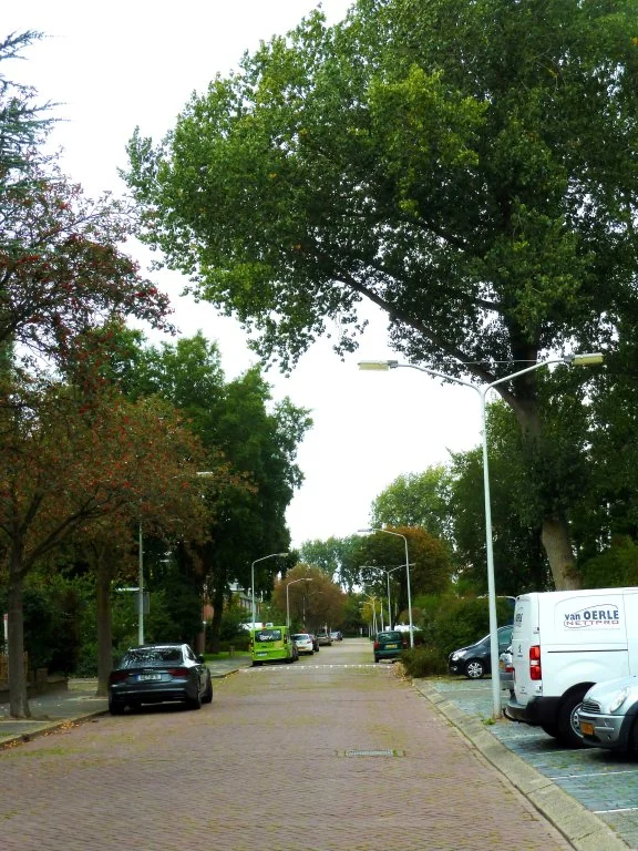 Foto van de Appartement gelegen aan de Bachstraat in Leiden