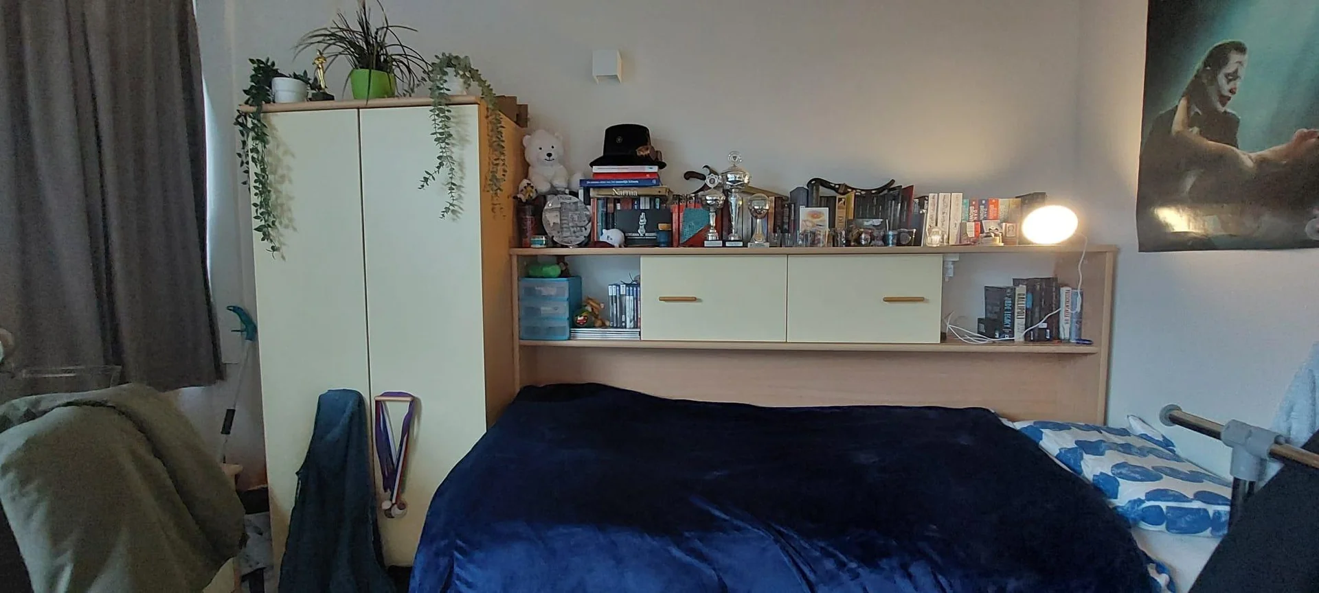 geblurde versie van de foto als achtergrond