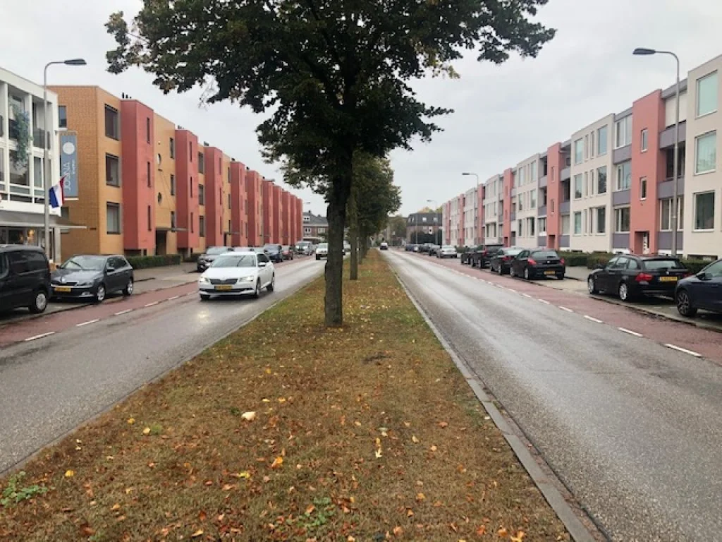 geblurde versie van de foto als achtergrond