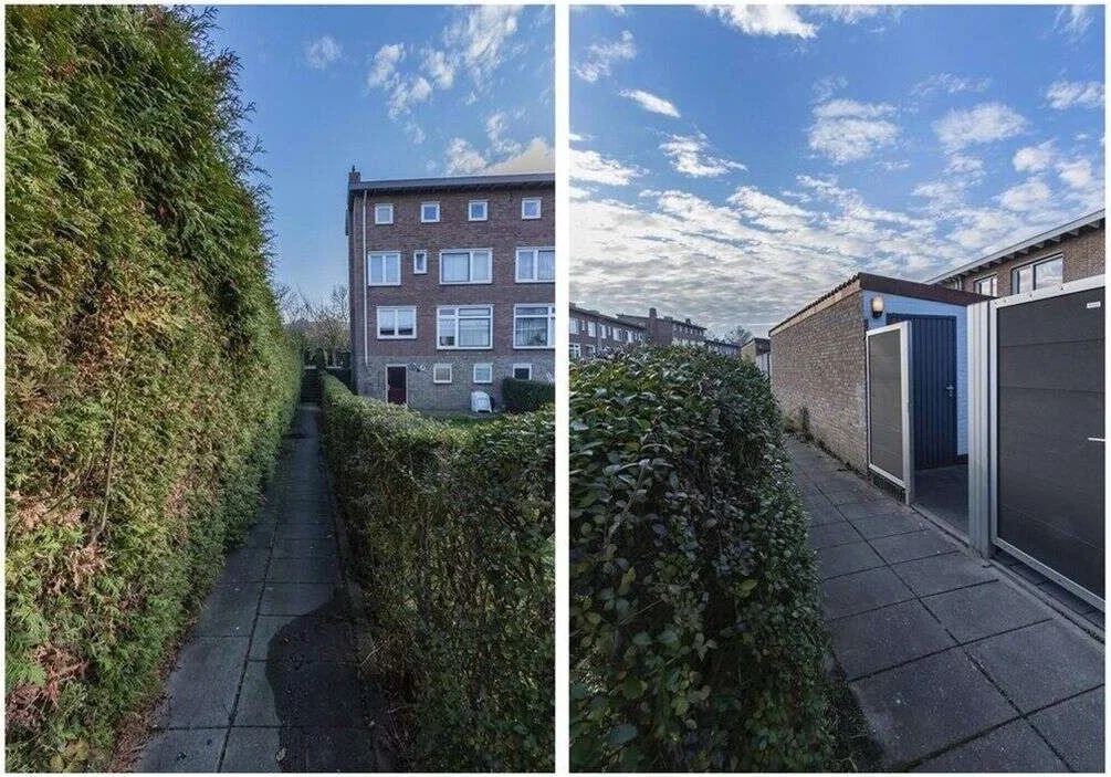 geblurde versie van de foto als achtergrond