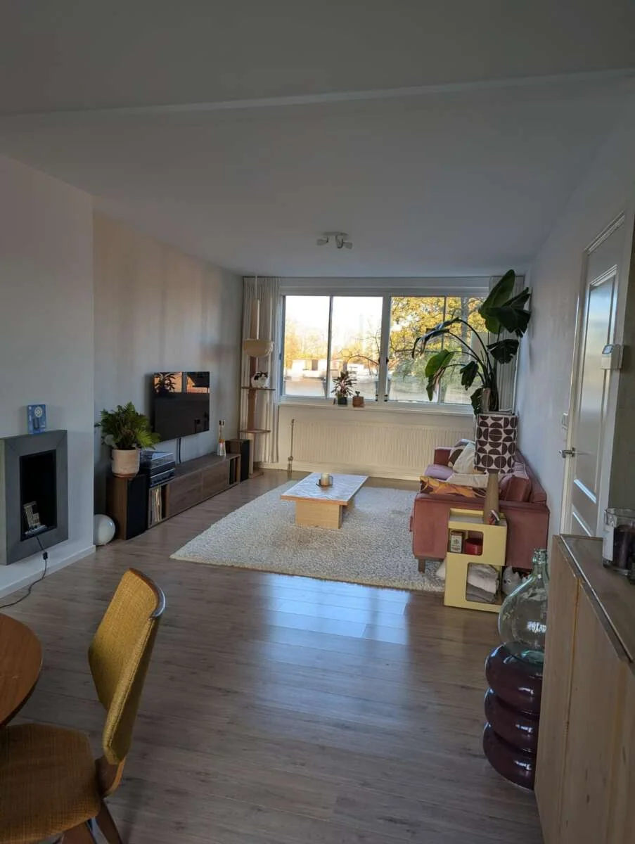 geblurde versie van de foto als achtergrond