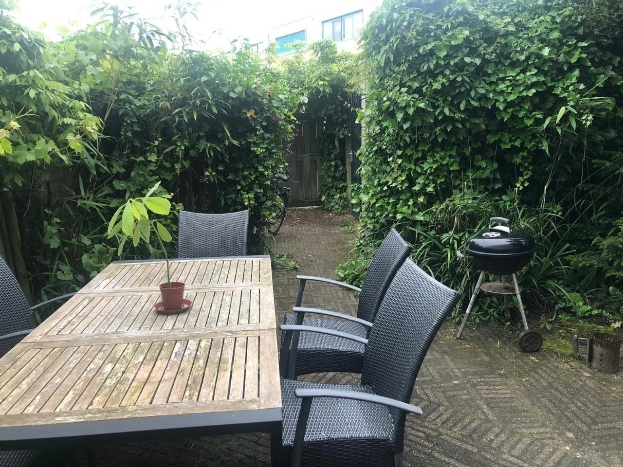 Foto van de Kamer gelegen aan de Sonia Gaskellstraat in Leiden