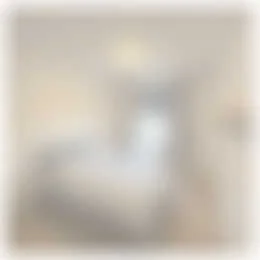 Foto van de Appartement gelegen aan de Stationsweg in Eindhoven