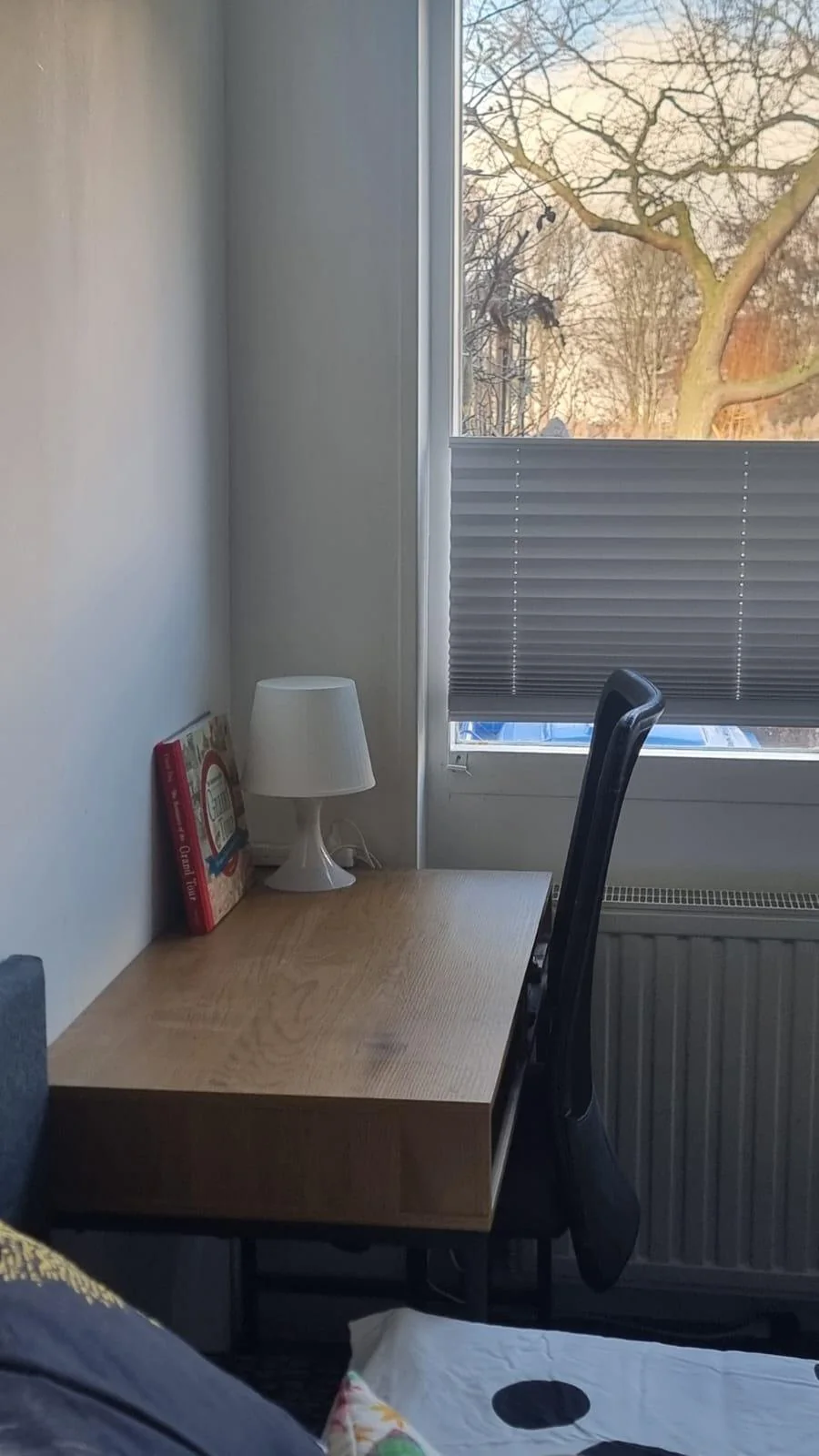 Foto van de Kamer gelegen aan de Belgiepark in Alphen aan den Rijn