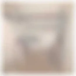 Foto van de Appartement gelegen aan de Thomas à Kempislaan in Eindhoven