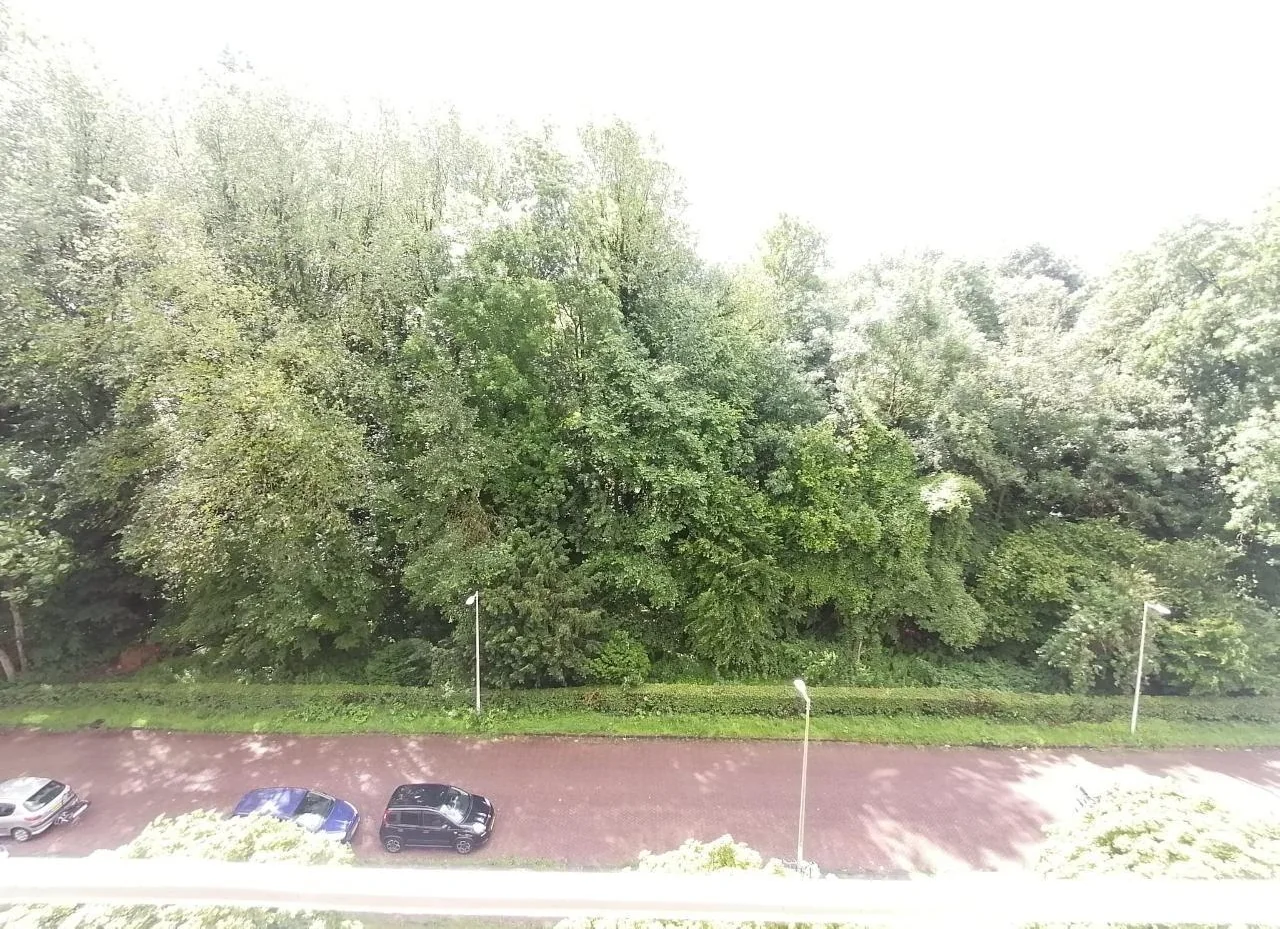 Foto van de Kamer gelegen aan de Eastonstraat in Amsterdam