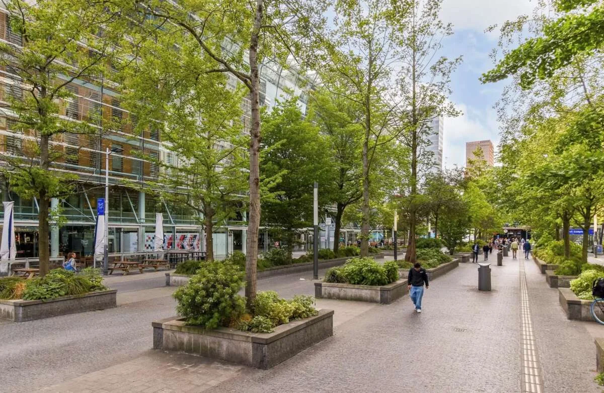 Foto van de Appartement gelegen aan de Crack-State in Amsterdam