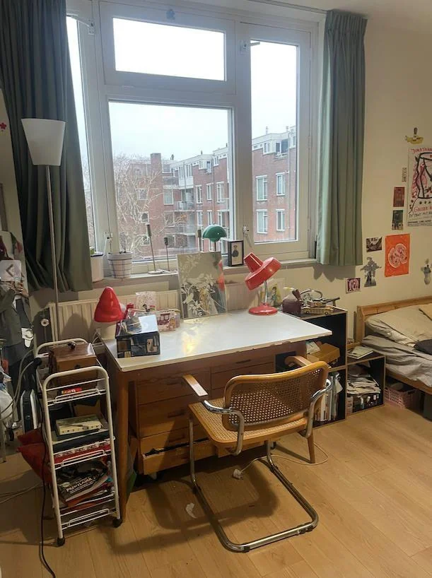 Foto van de Kamer gelegen aan de Pontanusstraat in Amsterdam