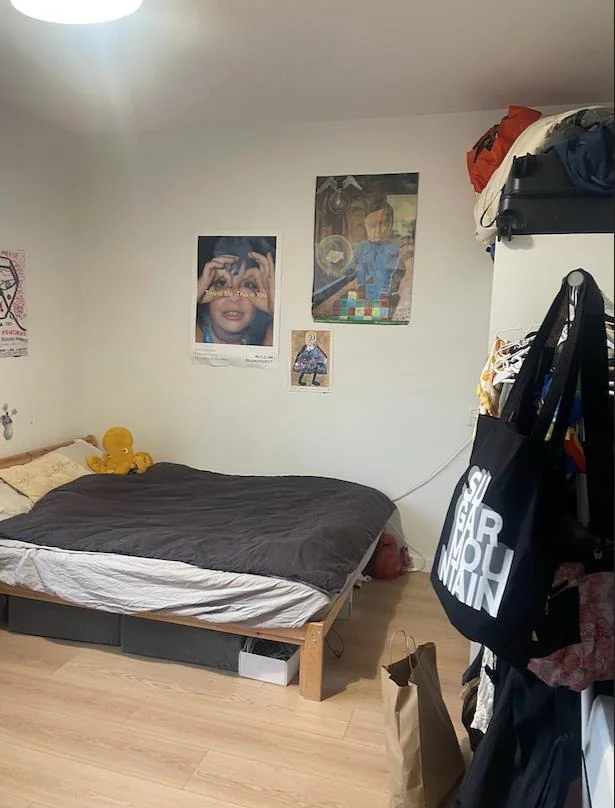 Foto van de Kamer gelegen aan de Pontanusstraat in Amsterdam