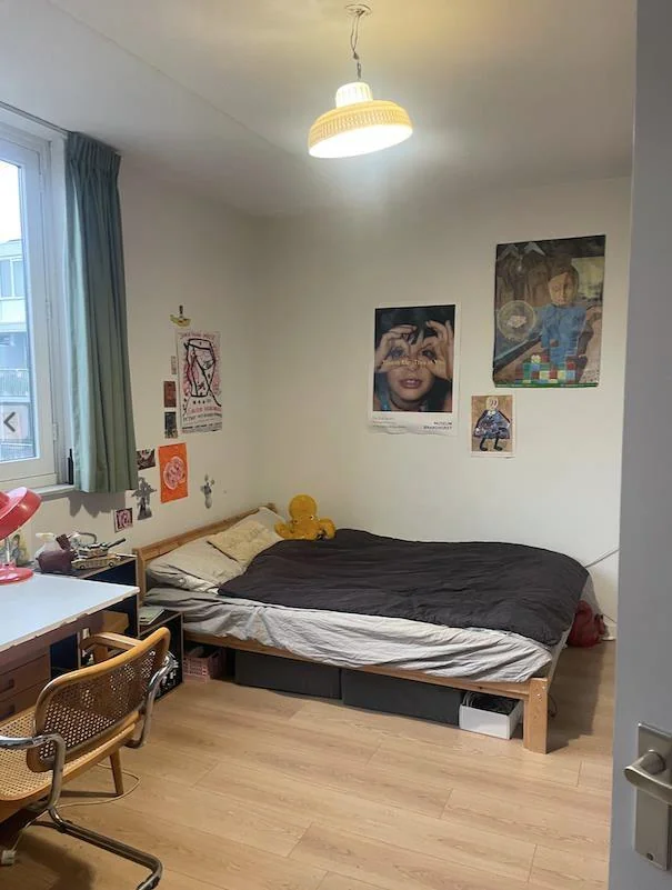 Foto van de Kamer gelegen aan de Pontanusstraat in Amsterdam