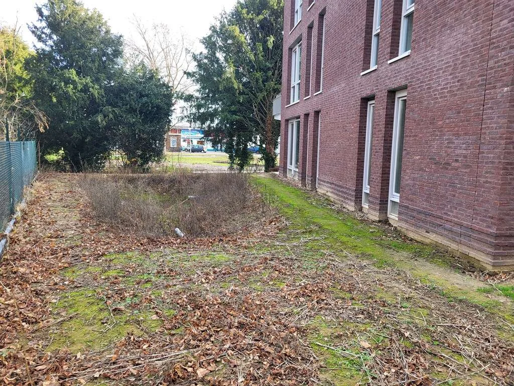 geblurde versie van de foto als achtergrond