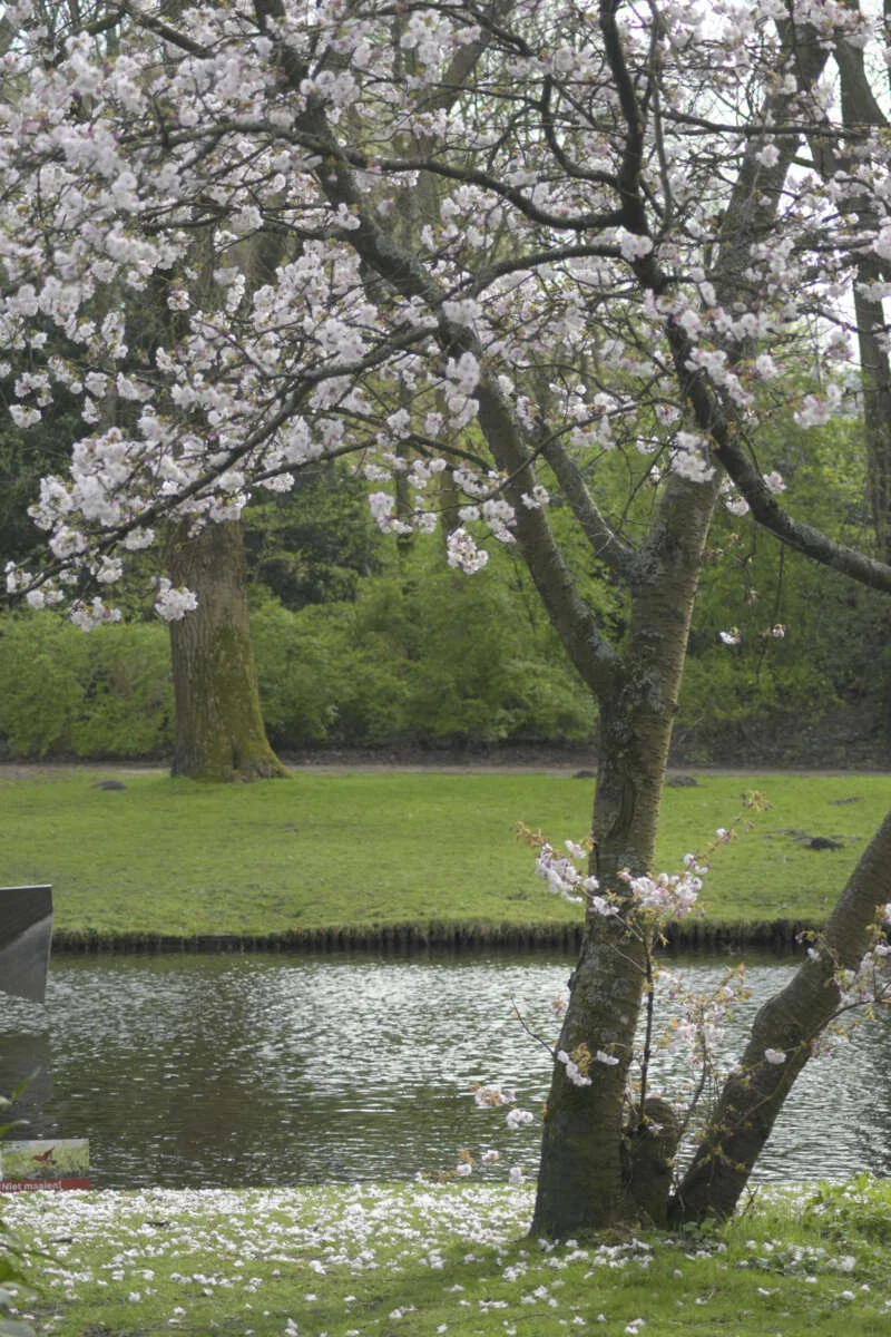 Foto van de Appartement gelegen aan de Eendrachtstraat in Amsterdam