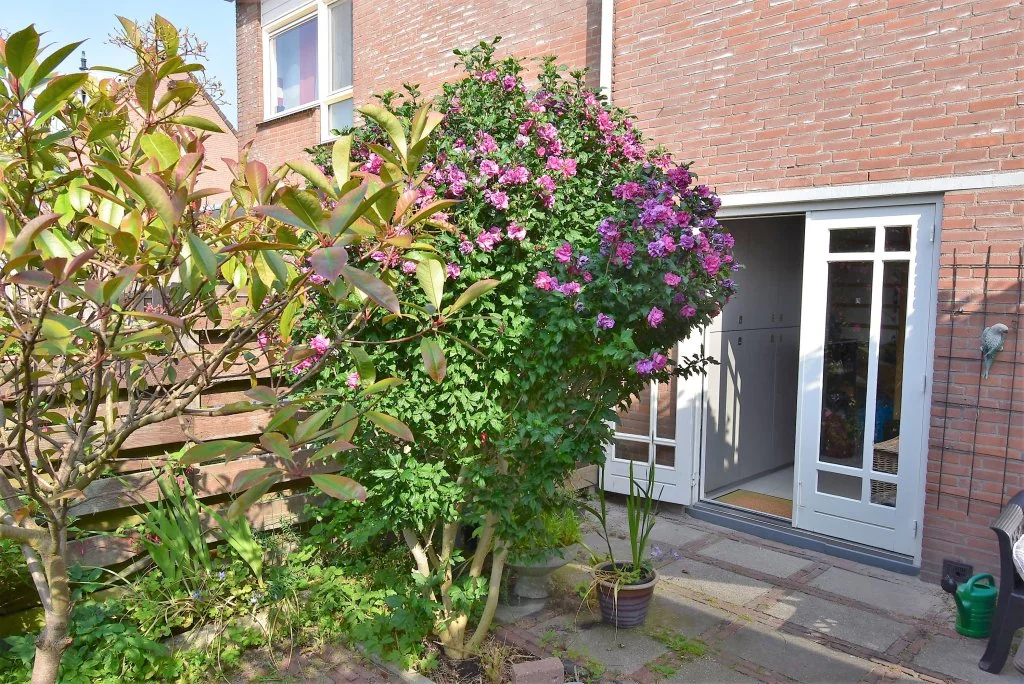 Foto van de Appartement gelegen aan de Fregatwerf in Zoetermeer