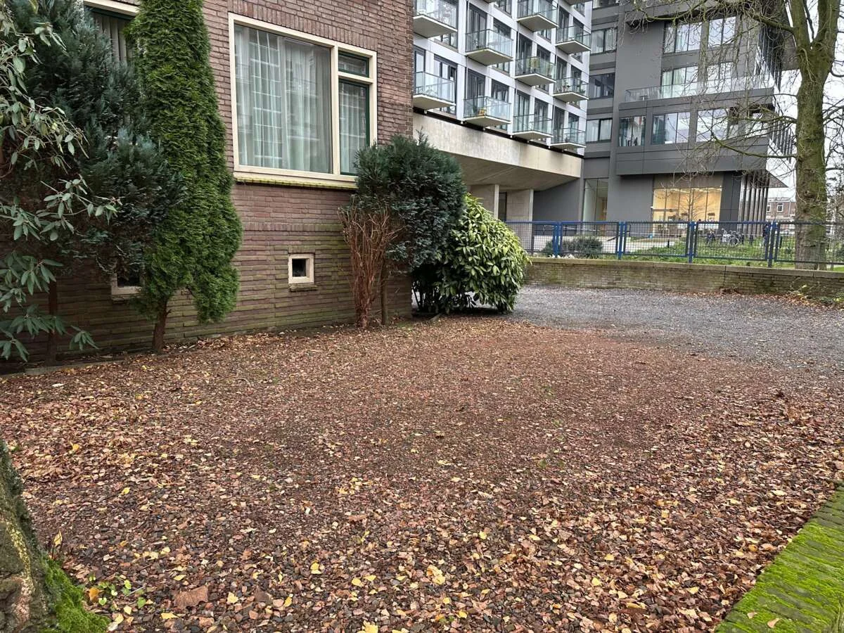 geblurde versie van de foto als achtergrond