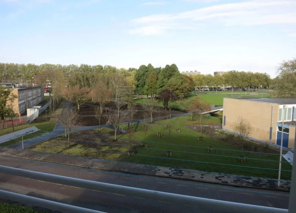 geblurde versie van de foto als achtergrond