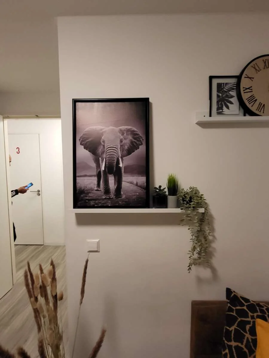 Foto van de Studio gelegen aan de Nicolaas Ruychaverstraat in Utrecht