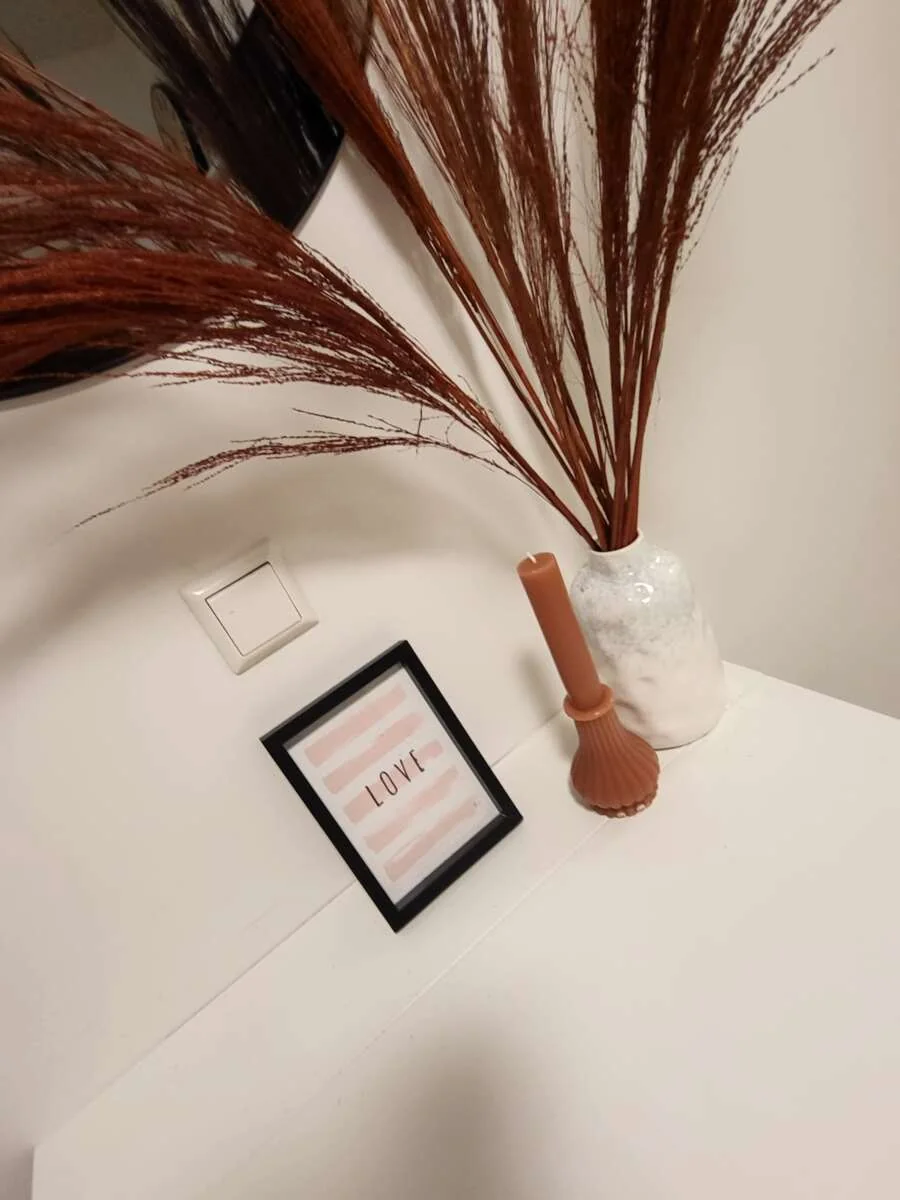 Foto van de Studio gelegen aan de Nicolaas Ruychaverstraat in Utrecht