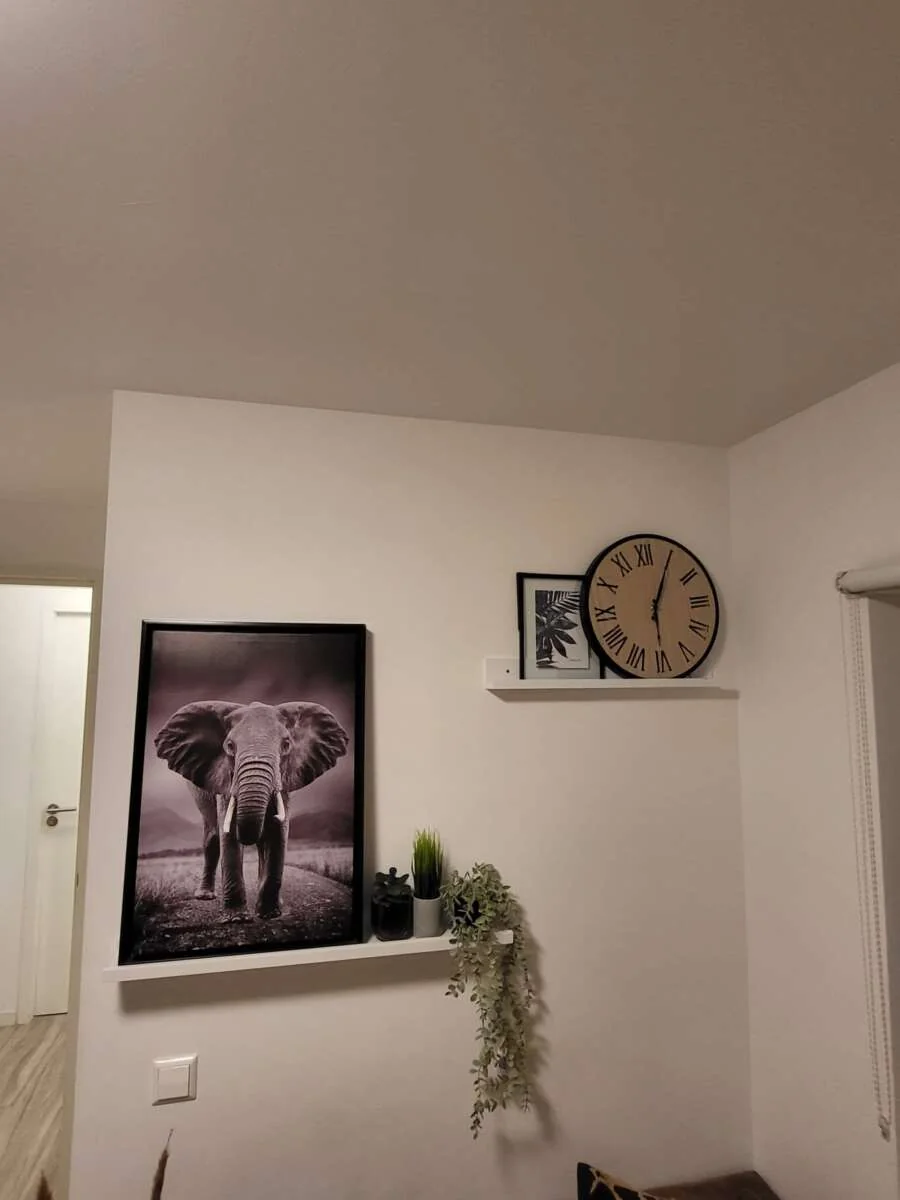 Foto van de Studio gelegen aan de Nicolaas Ruychaverstraat in Utrecht