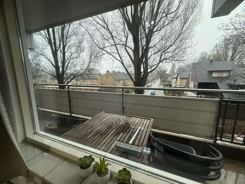 geblurde versie van de foto als achtergrond