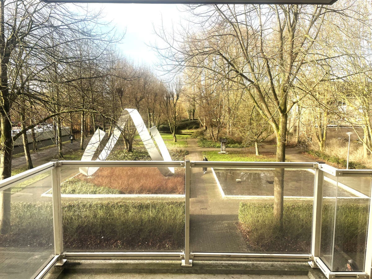 geblurde versie van de foto als achtergrond